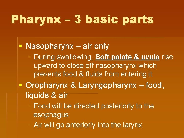 Pharynx – 3 basic parts § Nasopharynx – air only § During swallowing, Soft Pharynx – 3 basic parts § Nasopharynx – air only § During swallowing, Soft