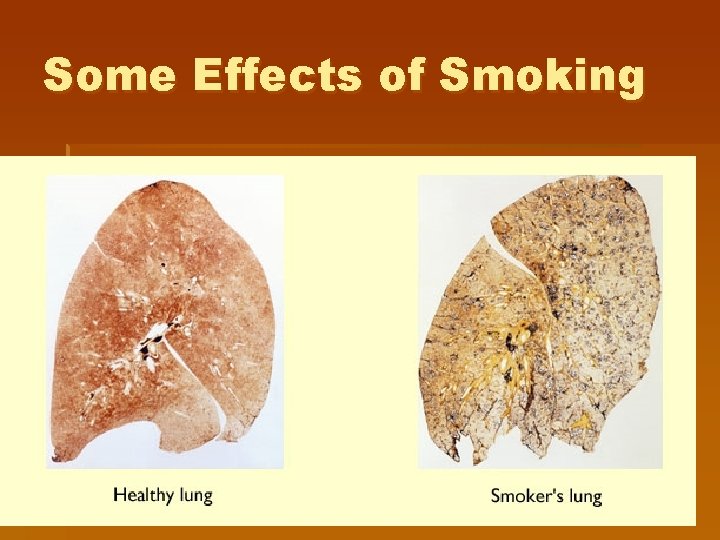 Some Effects of Smoking Some Effects of Smoking