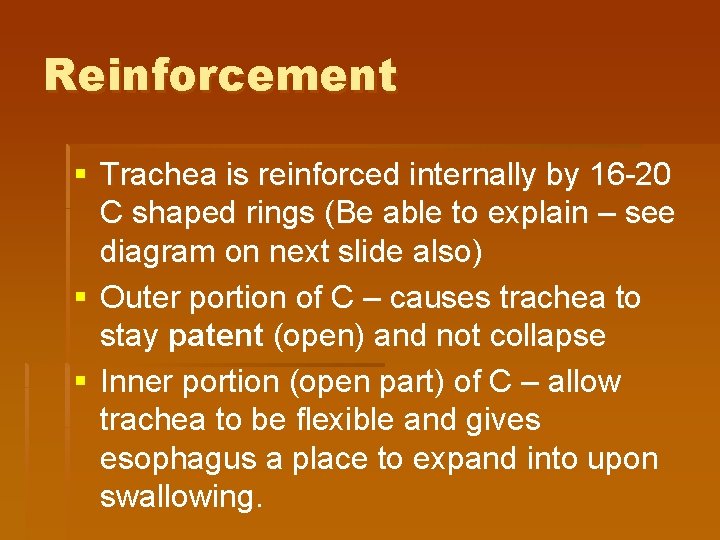 Reinforcement § Trachea is reinforced internally by 16 -20 C shaped rings (Be able Reinforcement § Trachea is reinforced internally by 16 -20 C shaped rings (Be able