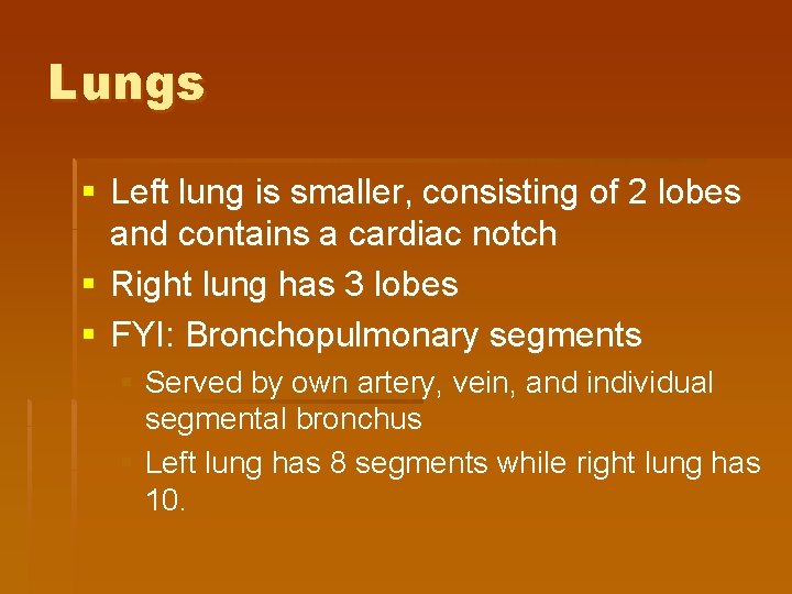 Lungs § Left lung is smaller, consisting of 2 lobes and contains a cardiac Lungs § Left lung is smaller, consisting of 2 lobes and contains a cardiac