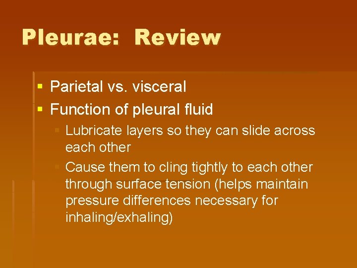 Pleurae: Review § Parietal vs. visceral § Function of pleural fluid § Lubricate layers Pleurae: Review § Parietal vs. visceral § Function of pleural fluid § Lubricate layers