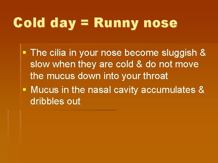 Cold day = Runny nose § The cilia in your nose become sluggish & Cold day = Runny nose § The cilia in your nose become sluggish &