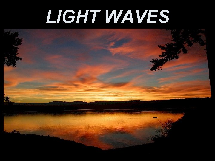 LIGHT WAVES 