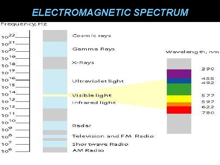 ELECTROMAGNETIC SPECTRUM 