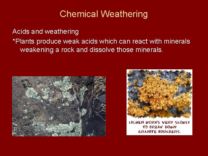 Chemical Weathering Acids and weathering *Plants produce weak acids which can react with minerals