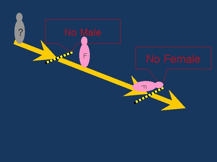 ? No Male F No Female F 