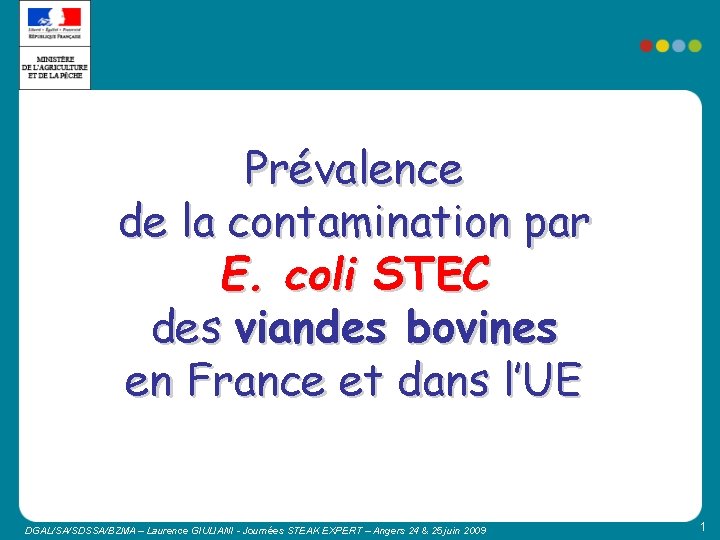 Prévalence de la contamination par E. coli STEC des viandes bovines en France et