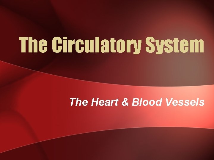 The Circulatory System The Heart & Blood Vessels 