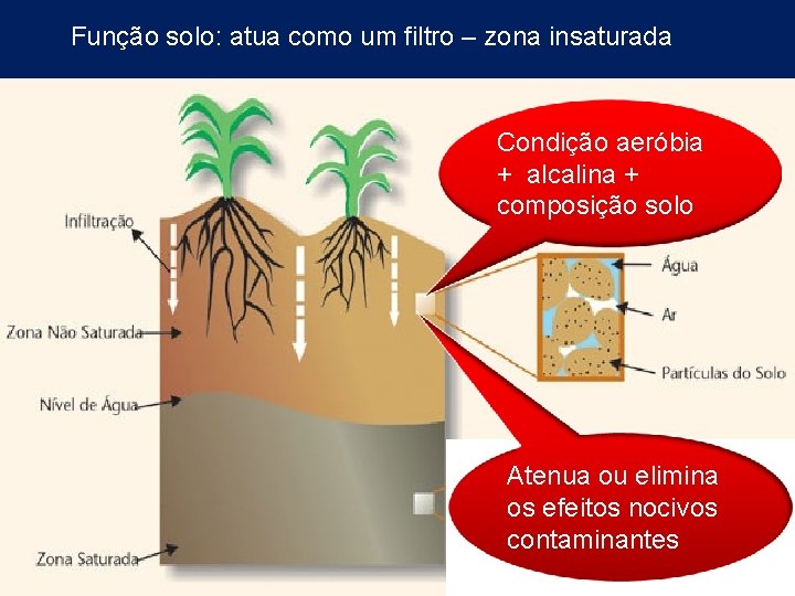 Função solo: atua como um filtro – zona insaturada Condição aeróbia + alcalina +