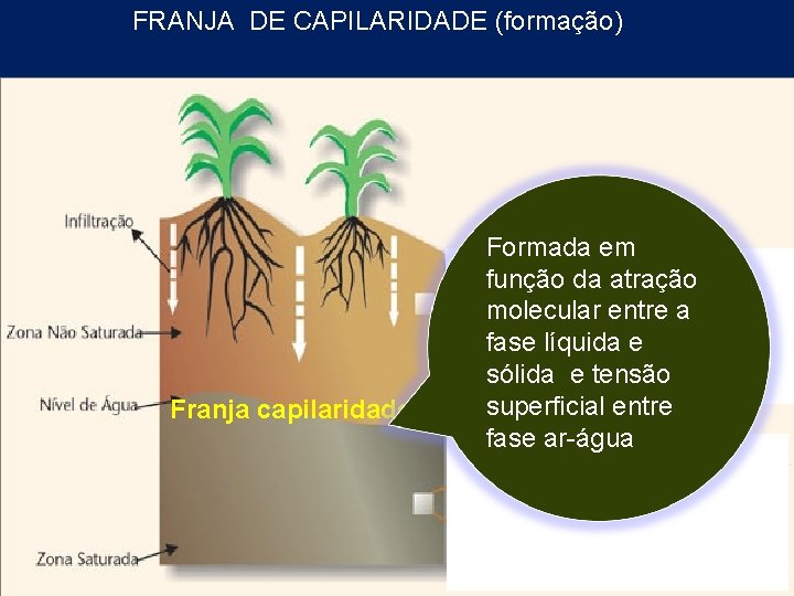 FRANJA DE CAPILARIDADE (formação) Franja capilaridade Formada em função da atração molecular entre a