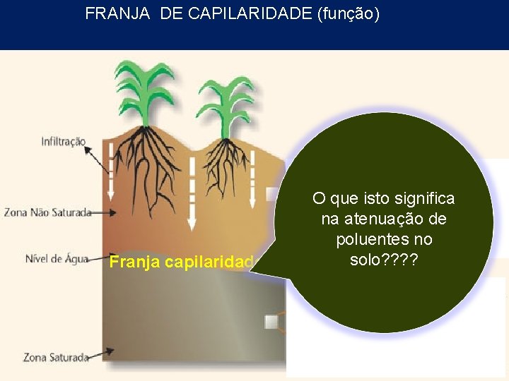 FRANJA DE CAPILARIDADE (função) Franja capilaridade O que isto significa na atenuação de poluentes