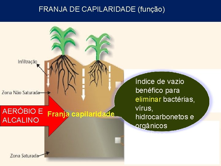 FRANJA DE CAPILARIDADE (função) AERÓBIO E Franja capilaridade ALCALINO índice de vazio benéfico para