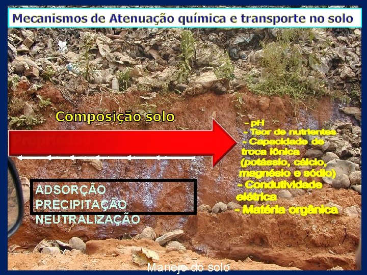 ADSORÇÃO PRECIPITAÇÃO NEUTRALIZAÇÃO Manejo do solo 