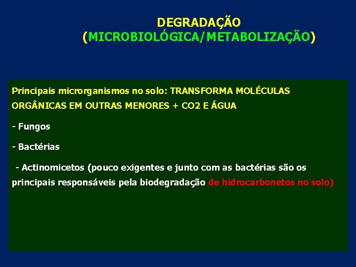 DEGRADAÇÃO (MICROBIOLÓGICA/METABOLIZAÇÃO) Principais microrganismos no solo: TRANSFORMA MOLÉCULAS ORG NICAS EM OUTRAS MENORES +
