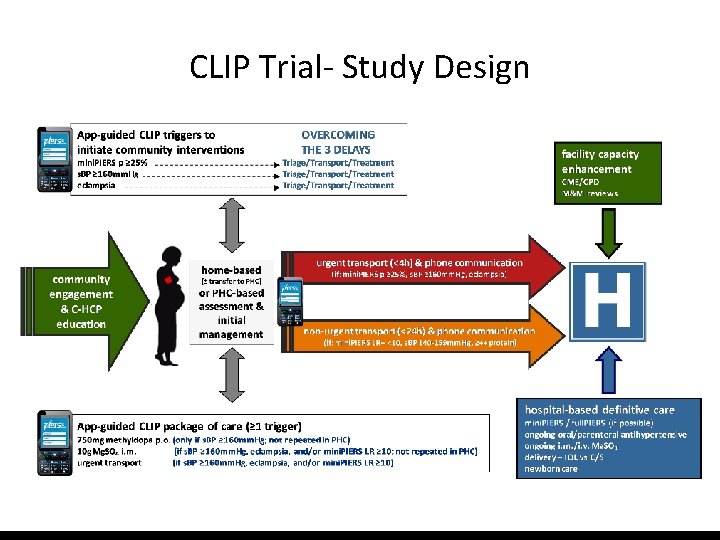 CLIP Trial- Study Design 