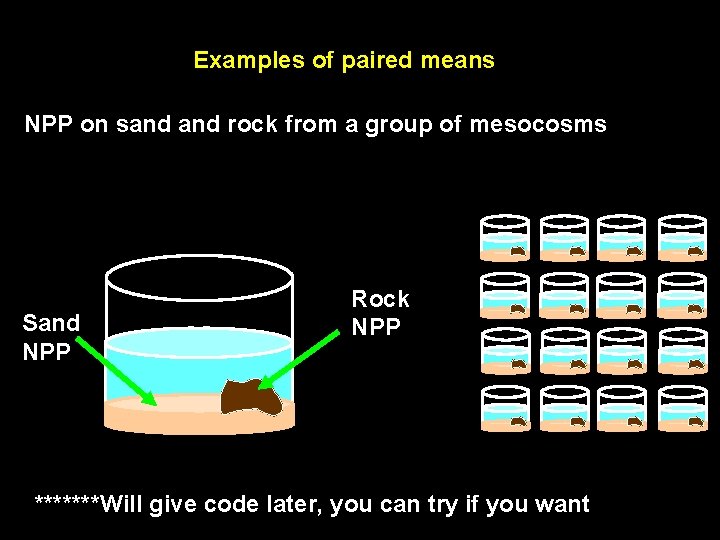 Examples of paired means NPP on sand rock from a group of mesocosms Sand