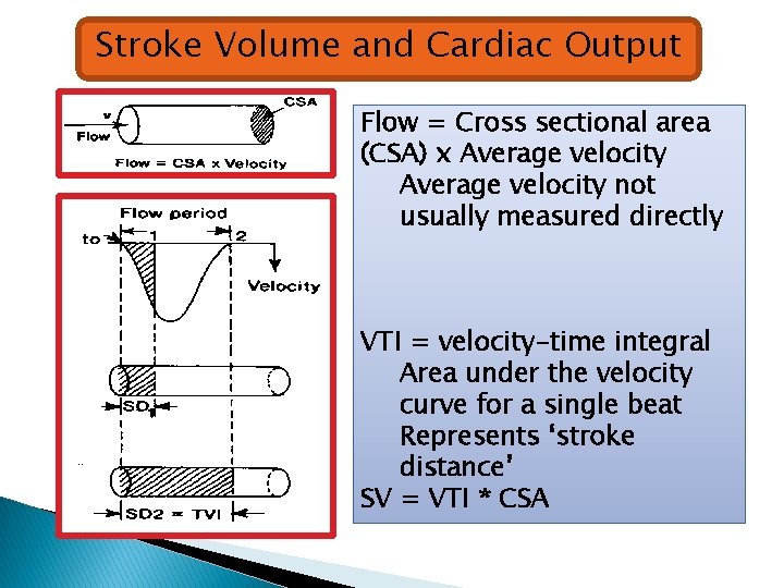 Stroke Volume and Cardiac Output Flow = Cross sectional area (CSA) x Average velocity