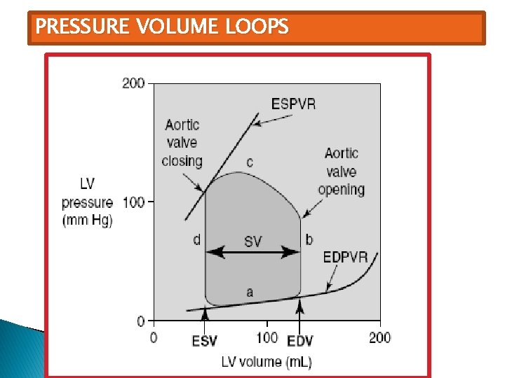 PRESSURE VOLUME LOOPS 