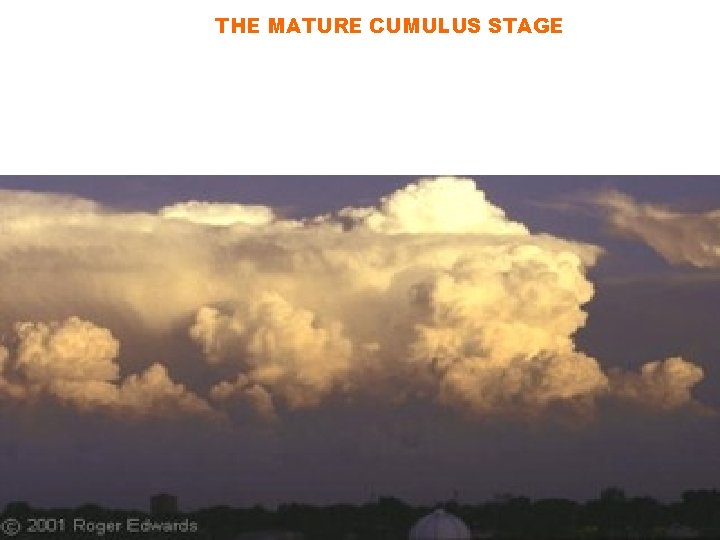 THE MATURE CUMULUS STAGE THE STORM HAS CONSIDERABLE DEPTH, OFTEN REACHING 40, 000 TO