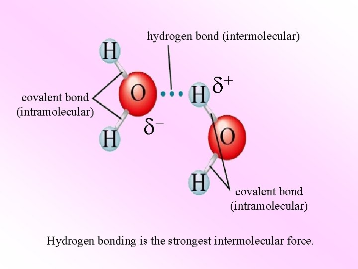 hydrogen bond (intermolecular) covalent bond (intramolecular) + – covalent bond (intramolecular) Hydrogen bonding is