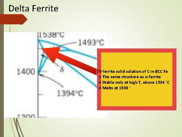 Delta Ferrite δ-ferrite solid solution of C in BCC Fe • The same structure