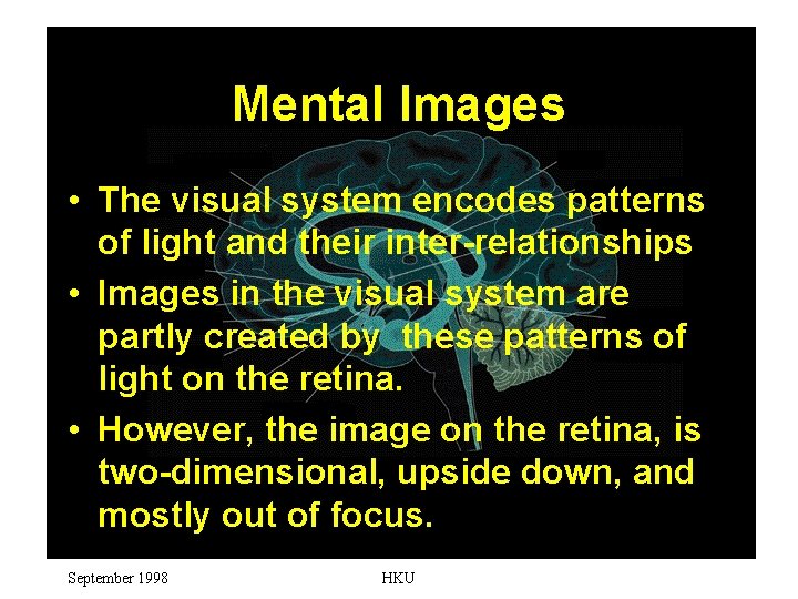 Mental Images The visual system encodes patterns of