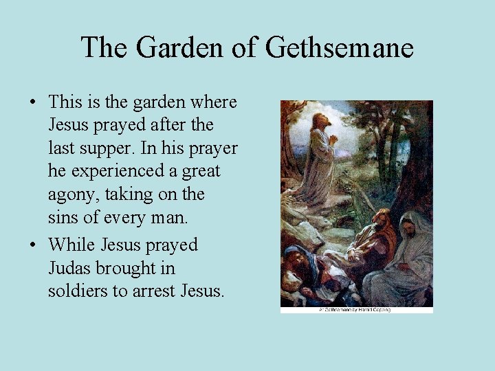 The Garden of Gethsemane • This is the garden where Jesus prayed after the