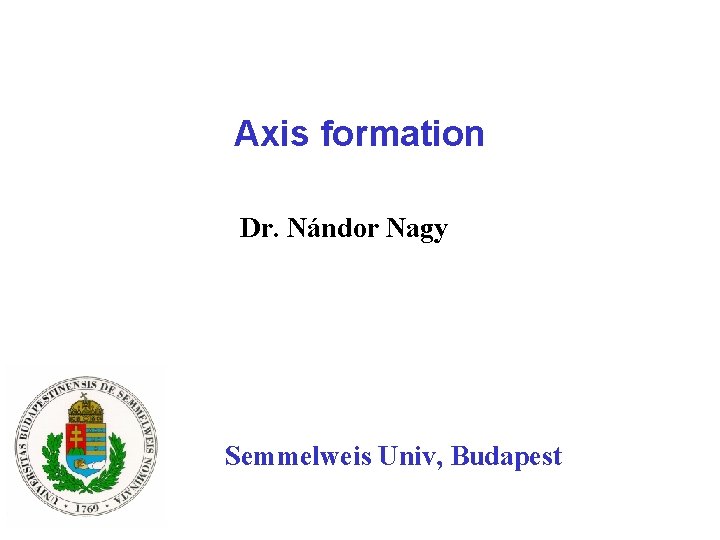 Axis formation Dr. Nándor Nagy Semmelweis Univ, Budapest 