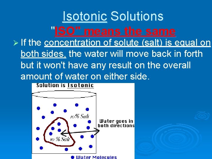 Isotonic Solutions "ISO" means the same Ø If the concentration of solute (salt) is