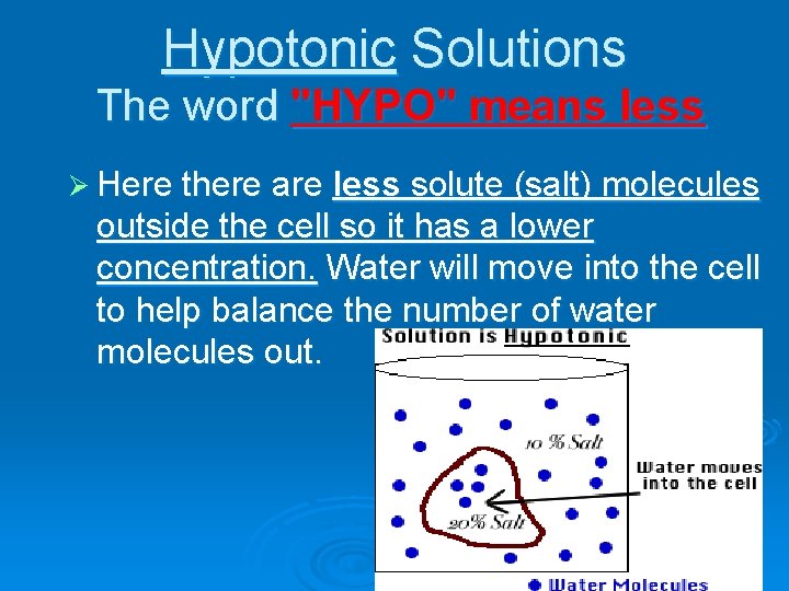 Hypotonic Solutions The word "HYPO" means less Ø Here there are less solute (salt)