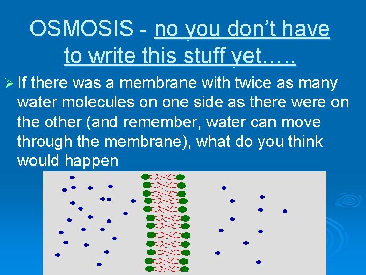 OSMOSIS - no you don’t have to write this stuff yet…. . Ø If