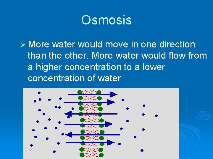 Osmosis Ø More water would move in one direction than the other. More water