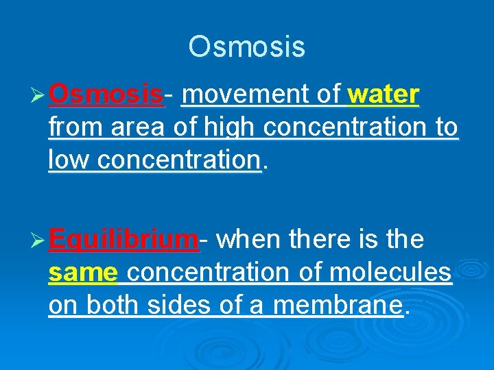 Osmosis Ø Osmosis- movement of water from area of high concentration to low concentration.