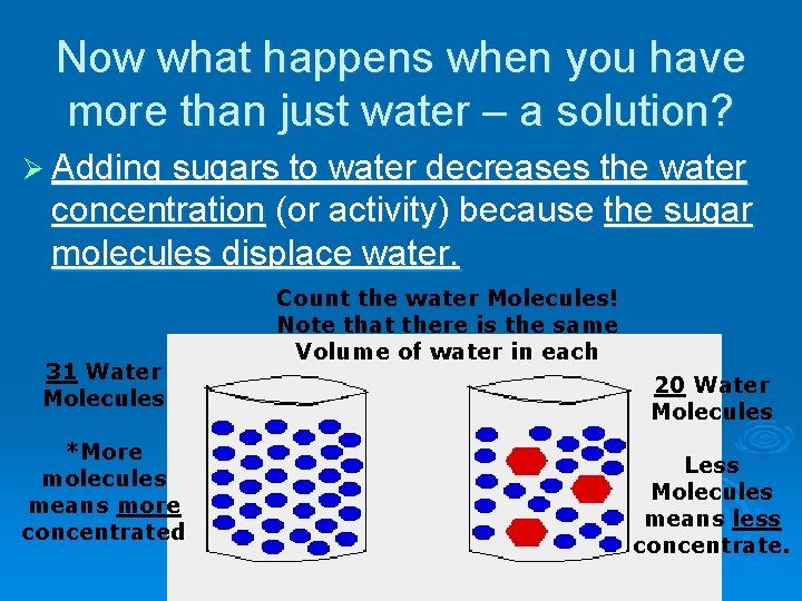 Now what happens when you have more than just water – a solution? Ø