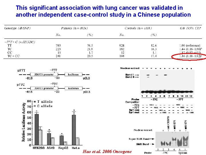 This significant association with lung cancer was validated in another independent case-control study in