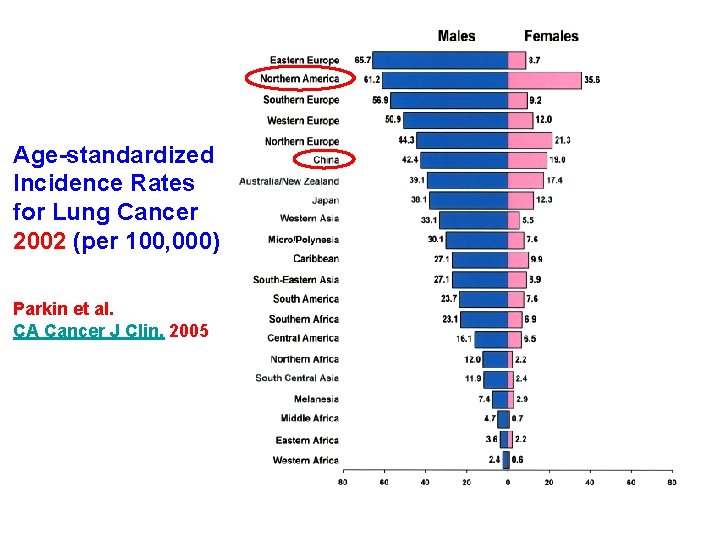 Age-standardized Incidence Rates for Lung Cancer 2002 (per 100, 000) Parkin et al. CA