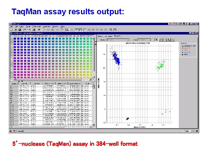 Taq. Man assay results output: 5’-nuclease (Taq. Man) assay in 384 -well format 