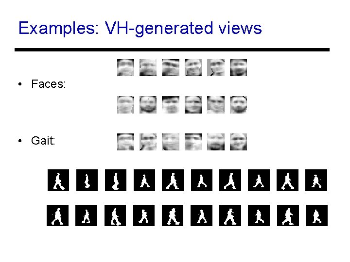 Examples: VH-generated views • Faces: • Gait: 