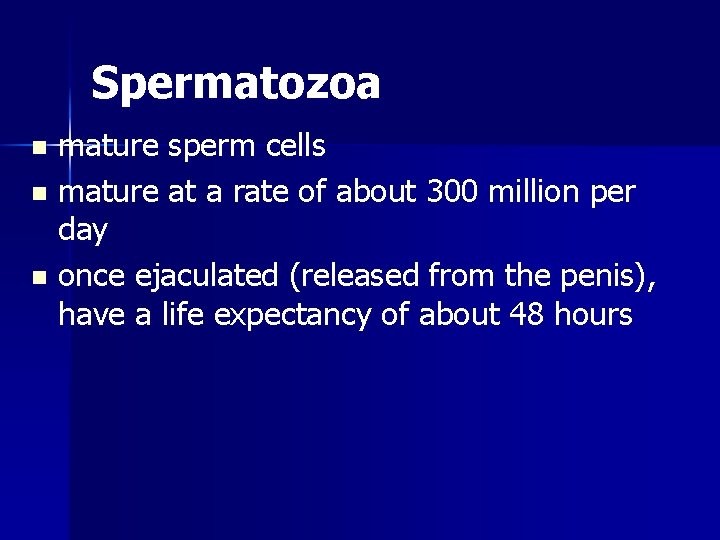 Spermatozoa mature sperm cells n mature at a rate of about 300 million per
