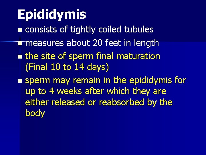 Epididymis consists of tightly coiled tubules n measures about 20 feet in length n