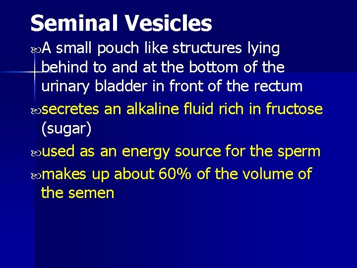 Seminal Vesicles A small pouch like structures lying behind to and at the bottom