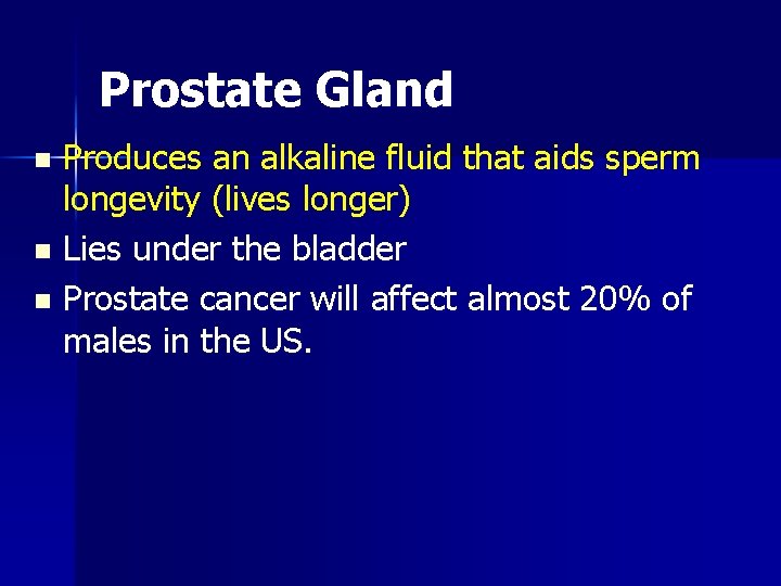 Prostate Gland Produces an alkaline fluid that aids sperm longevity (lives longer) n Lies