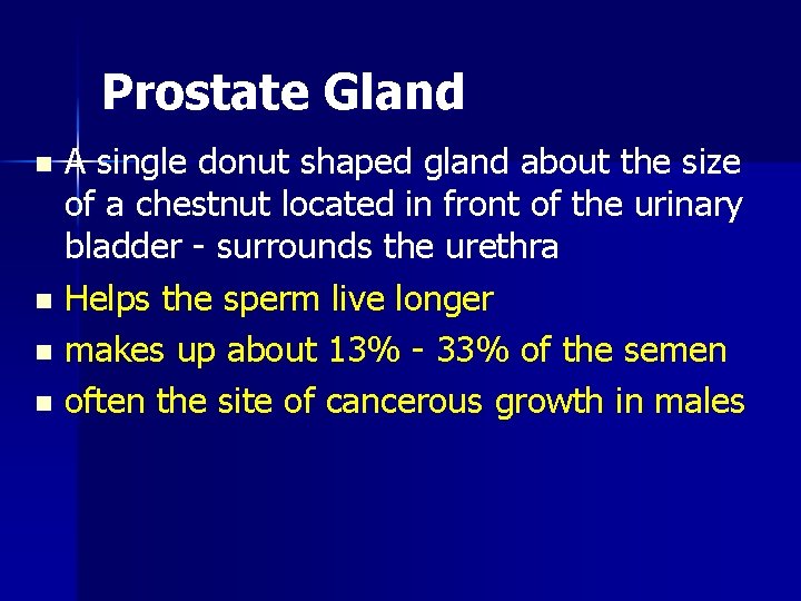 Prostate Gland A single donut shaped gland about the size of a chestnut located