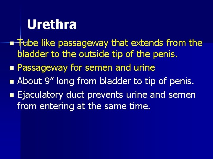 Urethra Tube like passageway that extends from the bladder to the outside tip of
