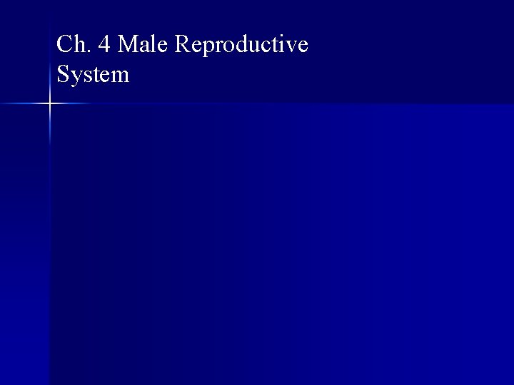 Ch. 4 Male Reproductive System 