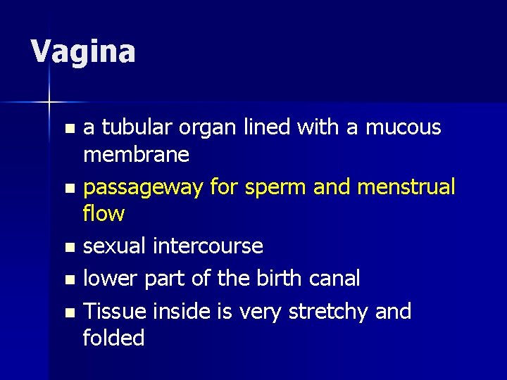 Vagina a tubular organ lined with a mucous membrane n passageway for sperm and