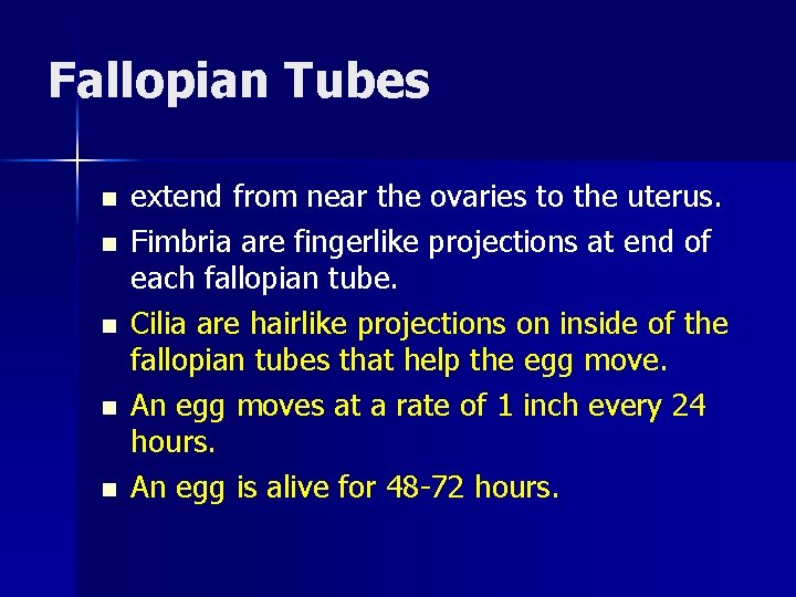 Fallopian Tubes n n n extend from near the ovaries to the uterus. Fimbria