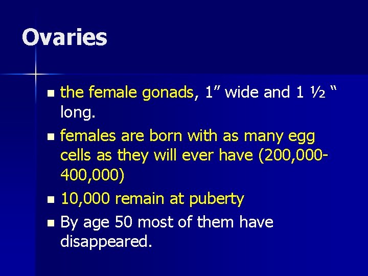 Ovaries the female gonads, 1” wide and 1 ½ “ long. n females are