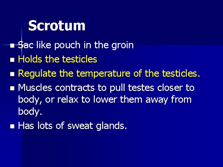 Scrotum Sac like pouch in the groin n Holds the testicles n Regulate the