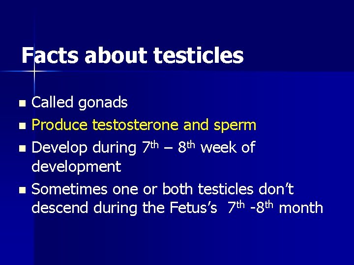 Facts about testicles Called gonads n Produce testosterone and sperm n Develop during 7
